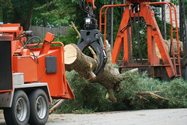 Mulching Services in Celoron, NY